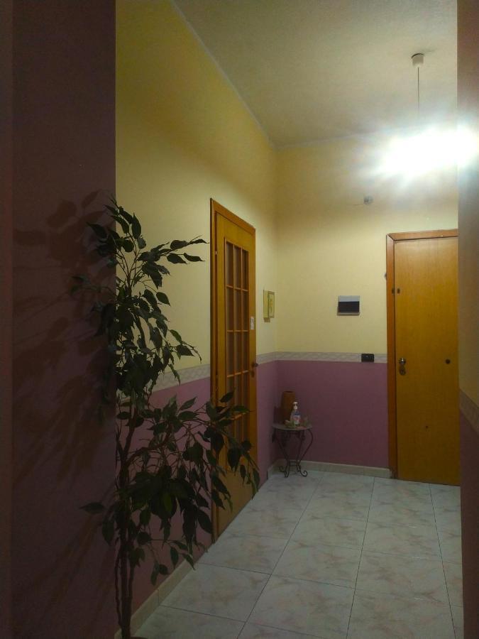 Camera Etna Pozzo Luce Biancavilla Eksteriør billede